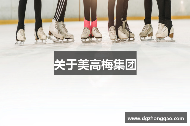 关于美高梅集团